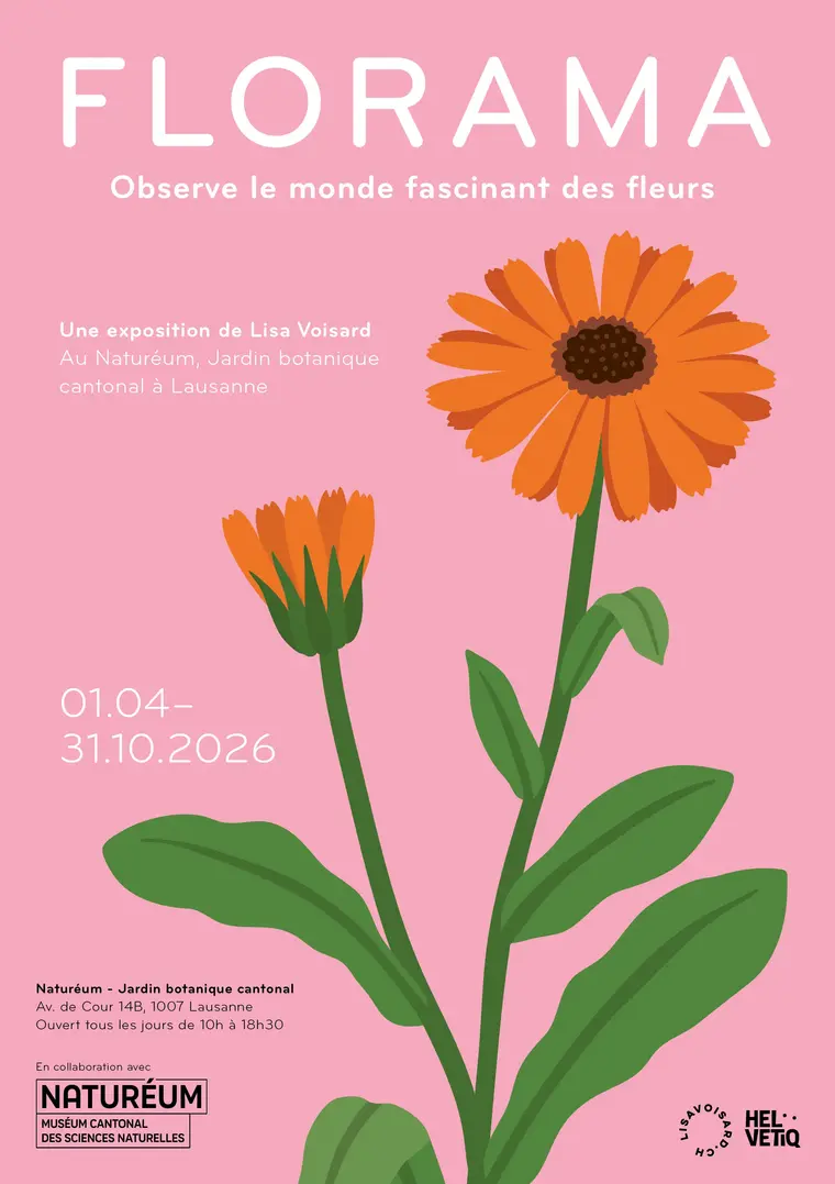 affiche de l'exposition, fleur rouge sur fonds rose