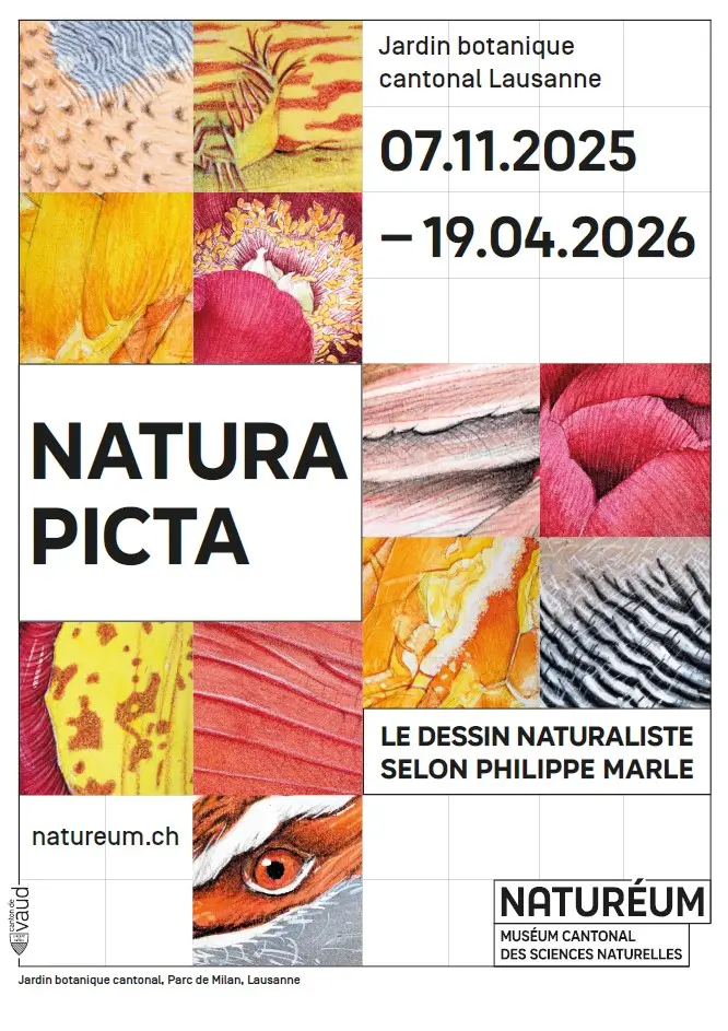 Dessins naturalistes de plantes et d'animaux, affiche de l'exposition