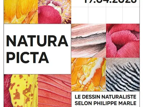 Exposition Natura picta
