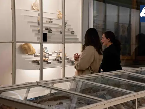 Visite guidée en langue des signes
