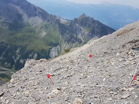 Flore vaudoise et changements climatiques