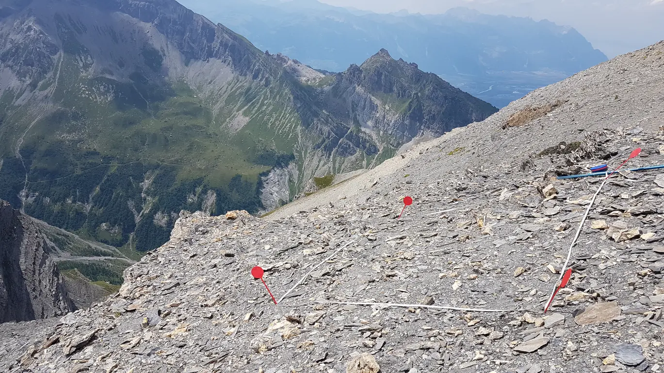 Talus aux Plans-sur-Bex