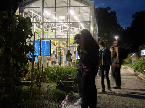 Soirées au Jardin - Écouter comme une chauve-souris