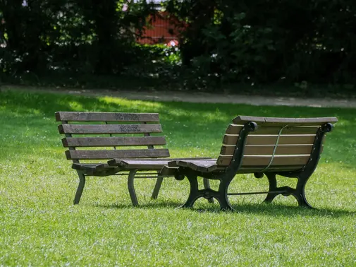 Sauvageons en ville - Cité sans santé n’est que ruine de l’âme