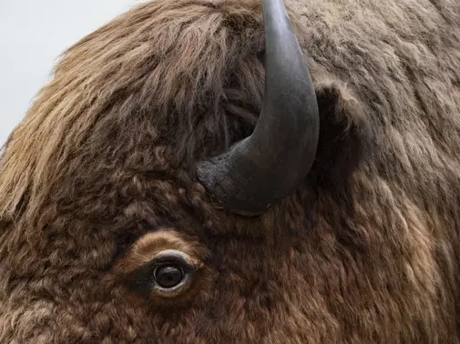 Soirée au Musée - Atelier d'écriture