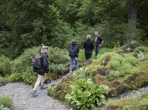 Visite guidée au Jardin alpin