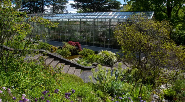 Jardin et serre au loin