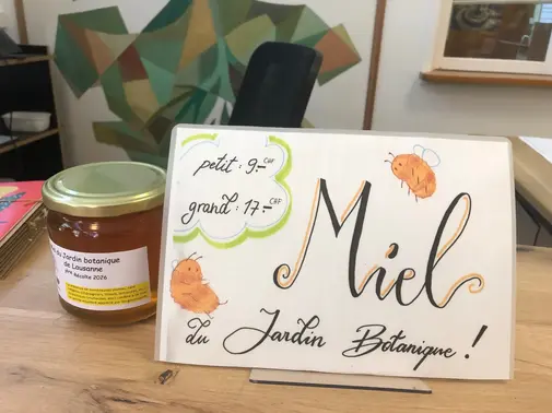Le miel du jardin botanique est arrivé !