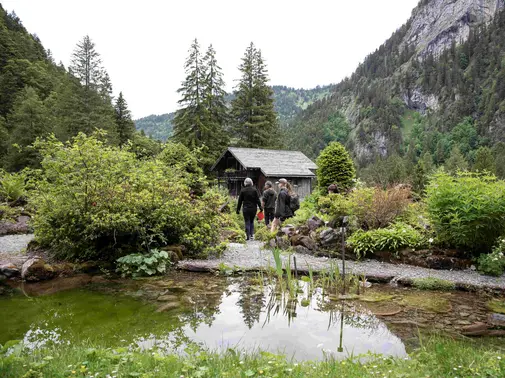 BALADE BOTANIQUE – RÉCOLTE DE GRAINES
