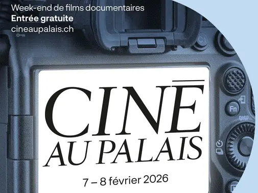 Ciné au Palais
