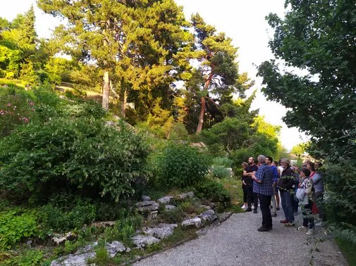 Midi botanique - Des plantes et des langues