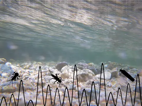 ADN et biodiversité