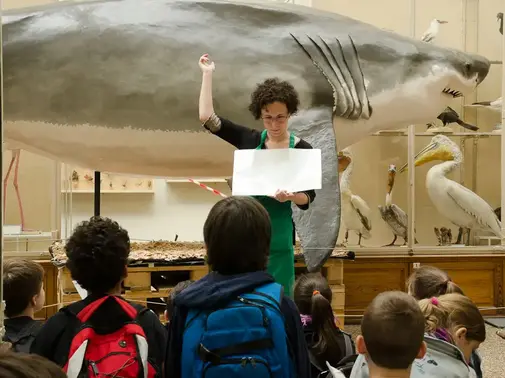 Atelier pour enfants - Petits Pas au Naturéum
