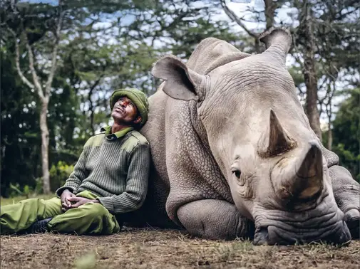 Conférence / Table ronde: L'humain doit-il réparer la nature?