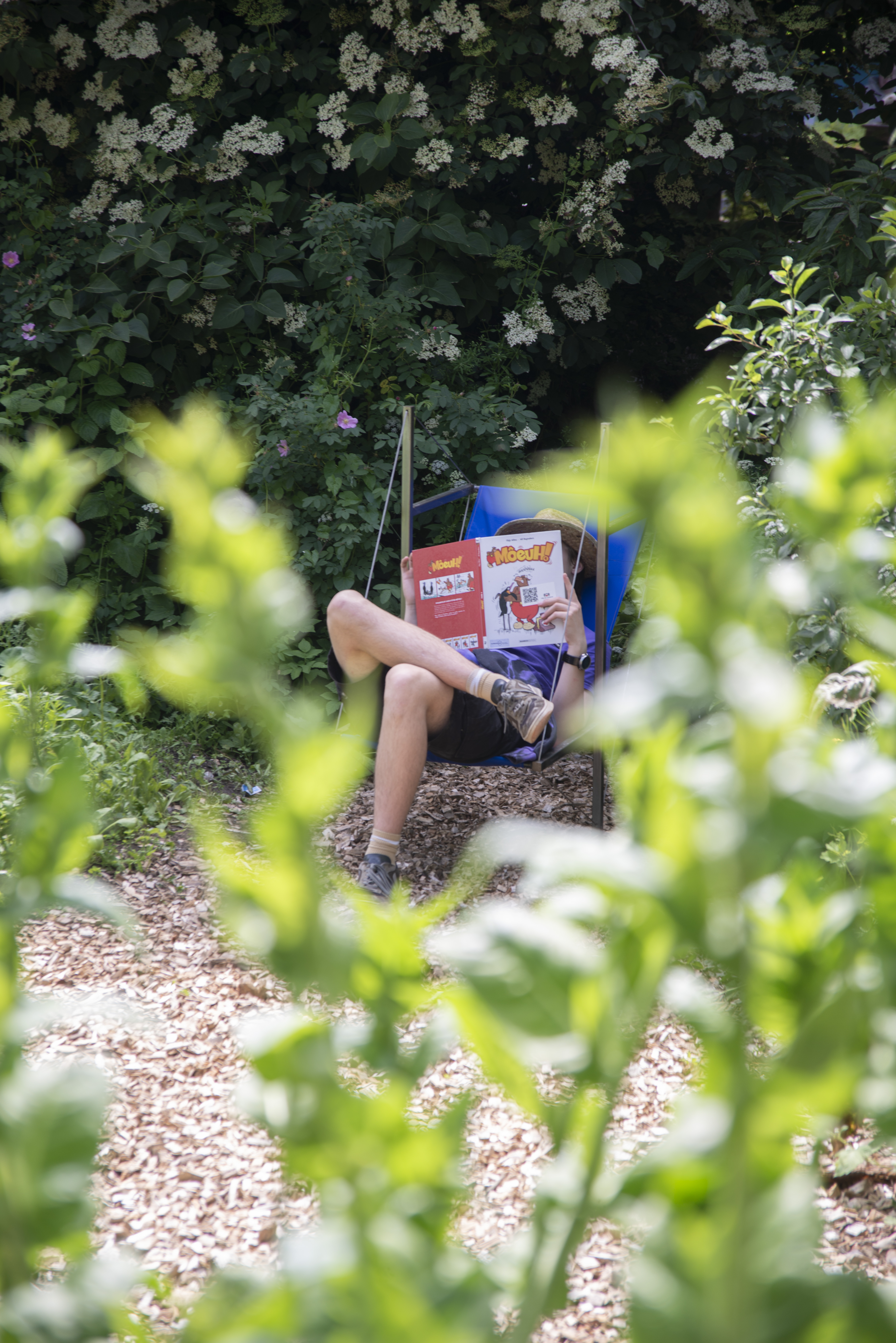 Lectures au jardin
