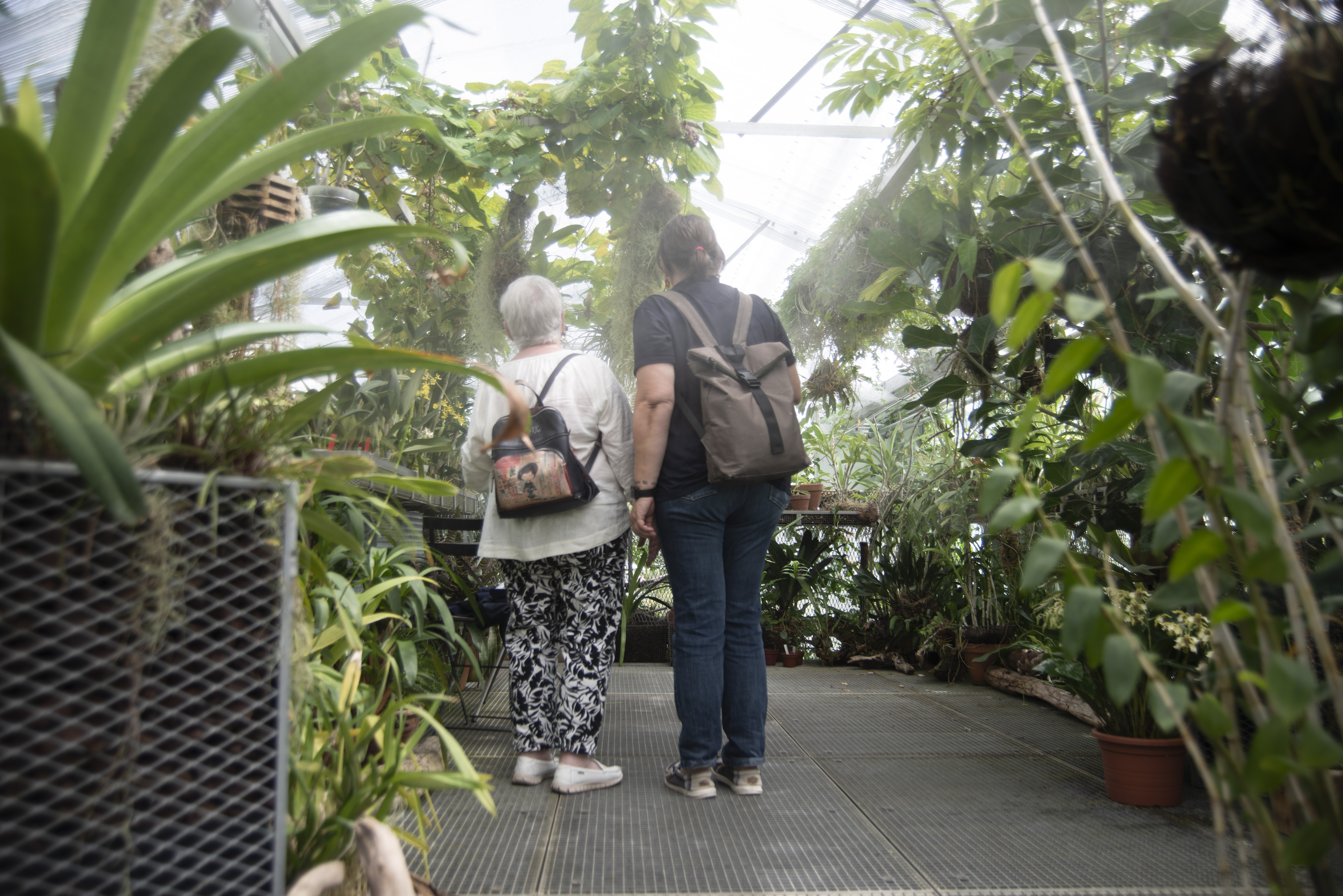 Tour auf Deutsch - Botanischer Garten 
