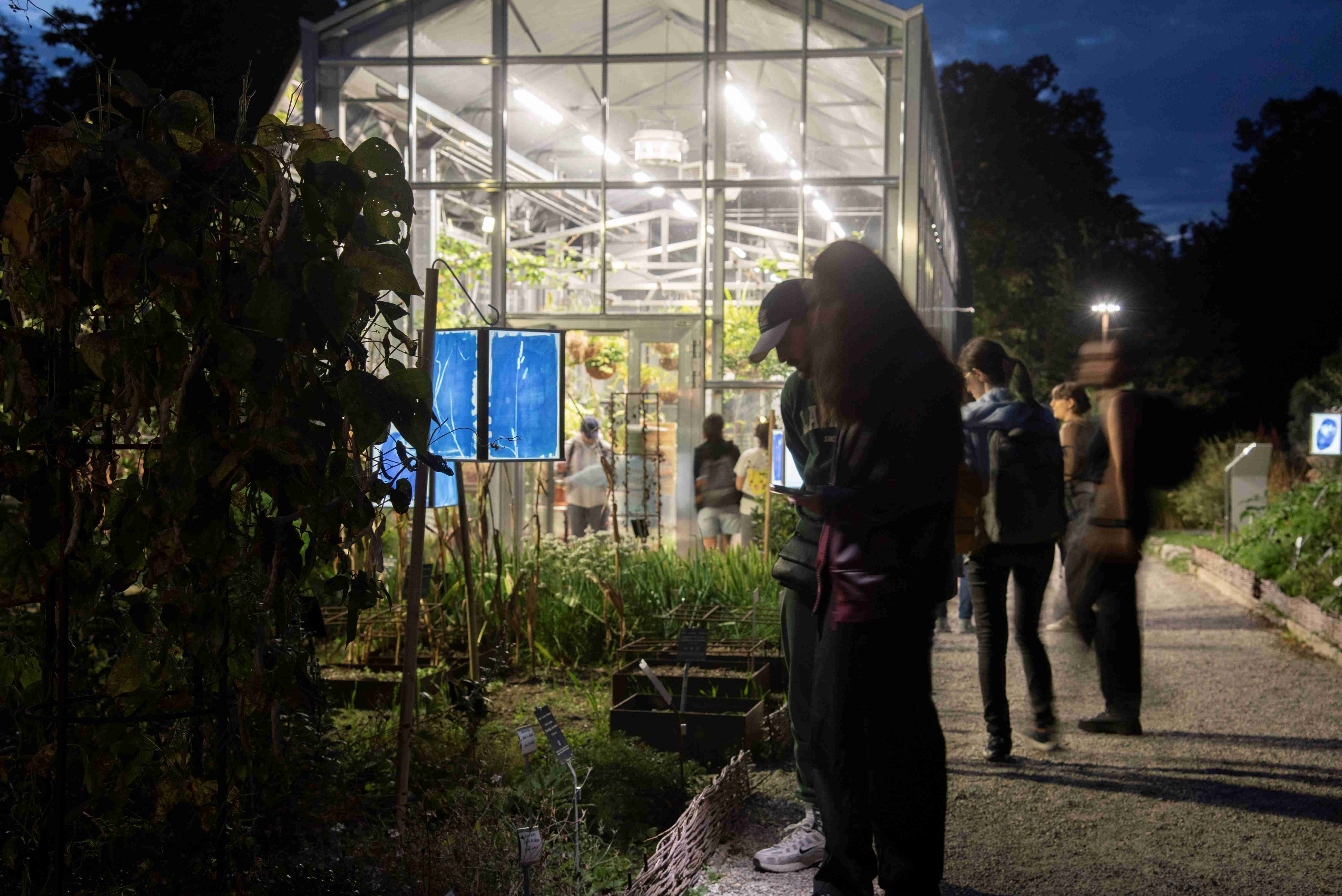 Soirées au Jardin - Écouter comme une chauve-souris