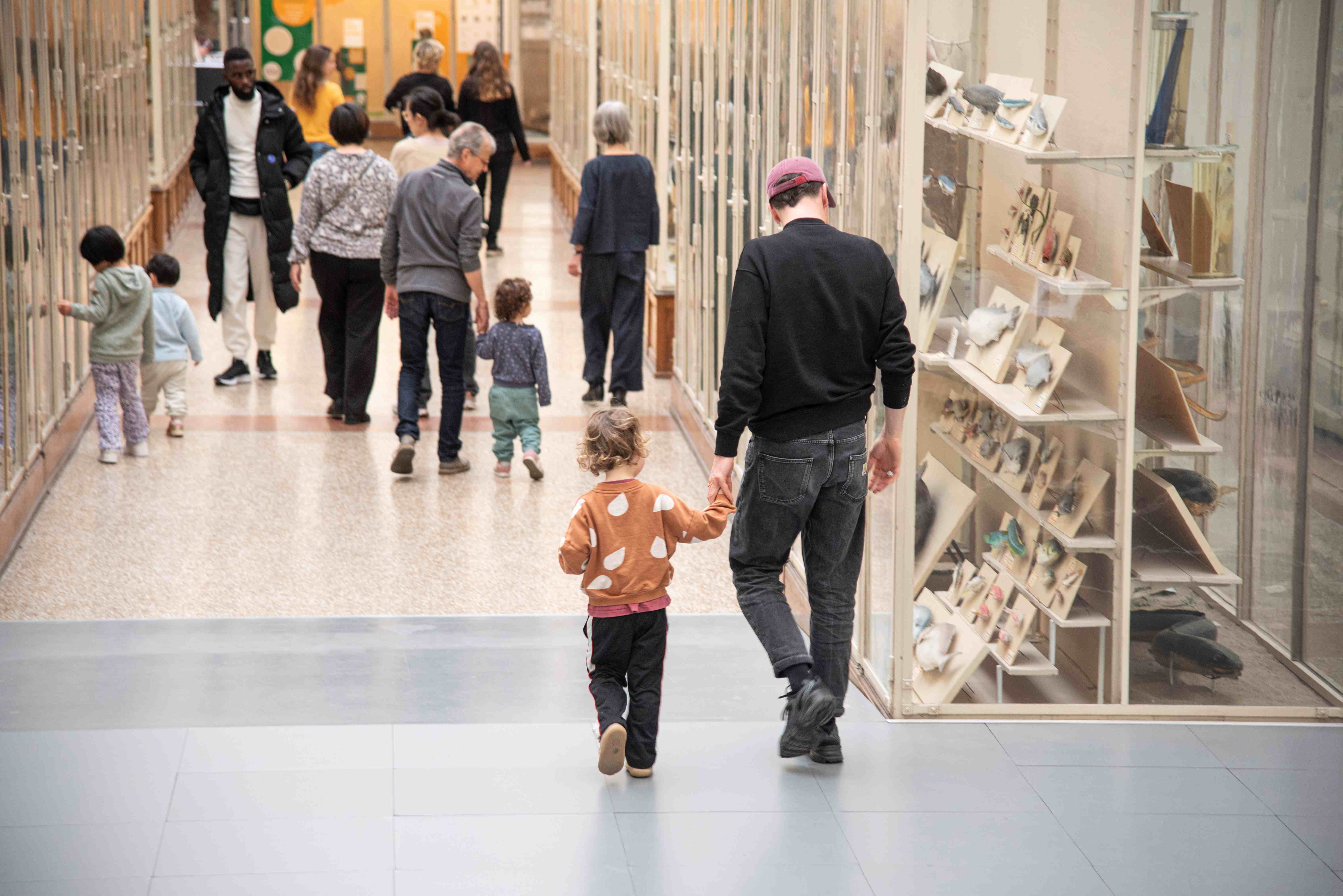 Atelier pour enfants - Petits Pas au Naturéum